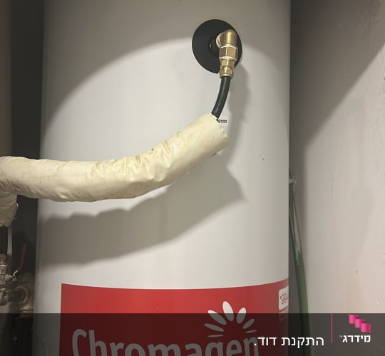 דוד